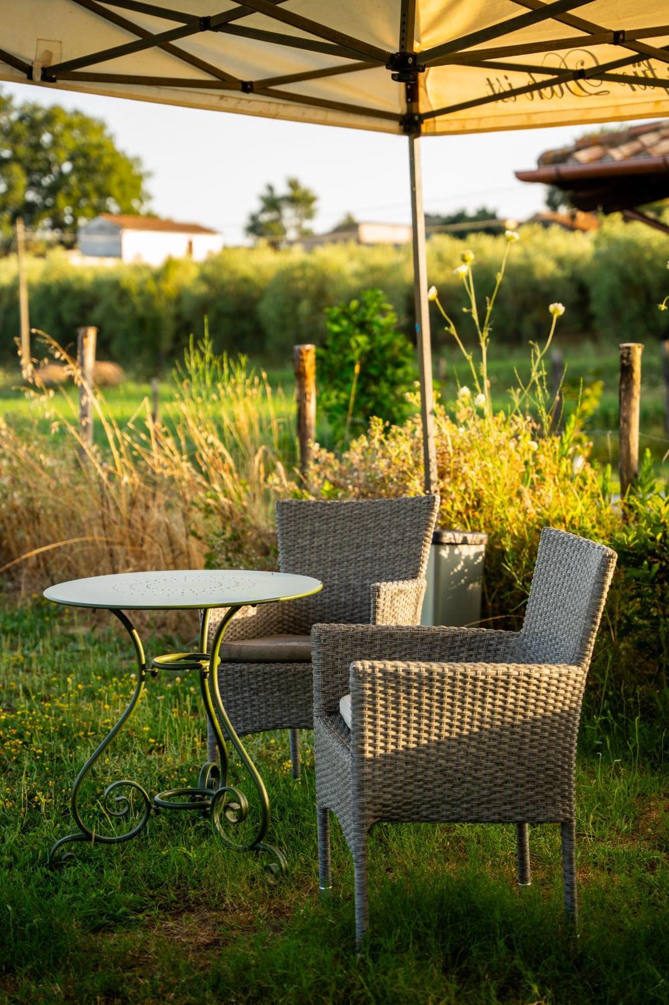 Agriturismo Anfora Della Vita Massa Marittima Exterior foto